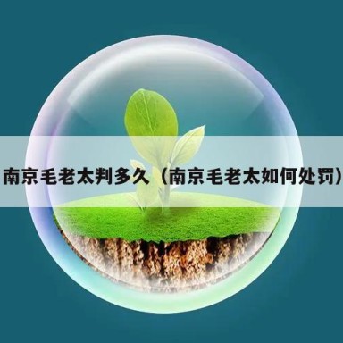 南京毛老太判多久（南京毛老太如何处罚）
