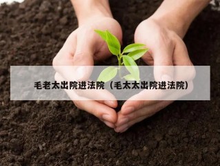 毛老太出院进法院（毛太太出院进法院）
